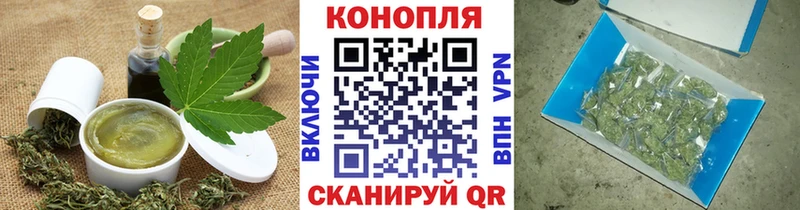 Canna-Cookies марихуана  Белокуриха 