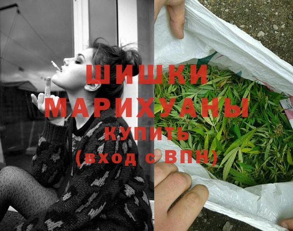 дмт Белокуриха